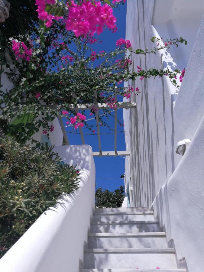 Vrohaki Studios & Rooms Piso Livadi Exterior photo